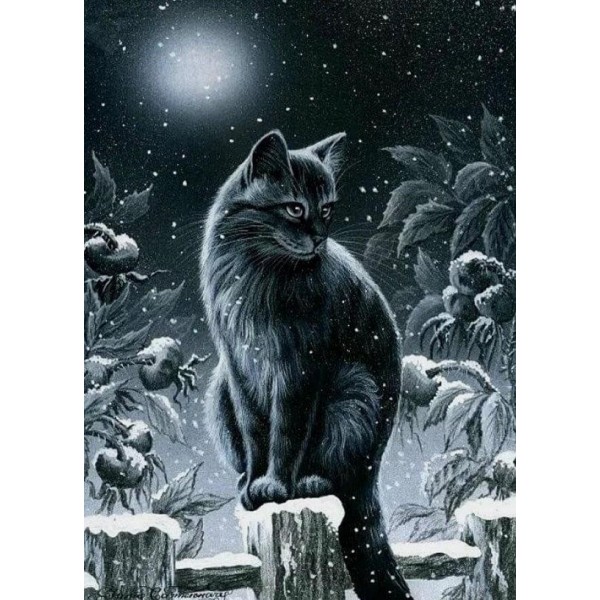 Animals Creepy Night Cat Painting Kit