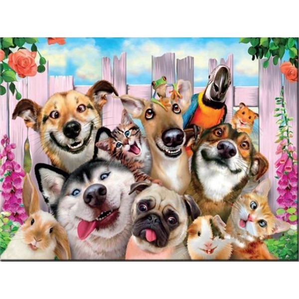 Animals Cartoon Making Funny Faces Cat Dog Flowers