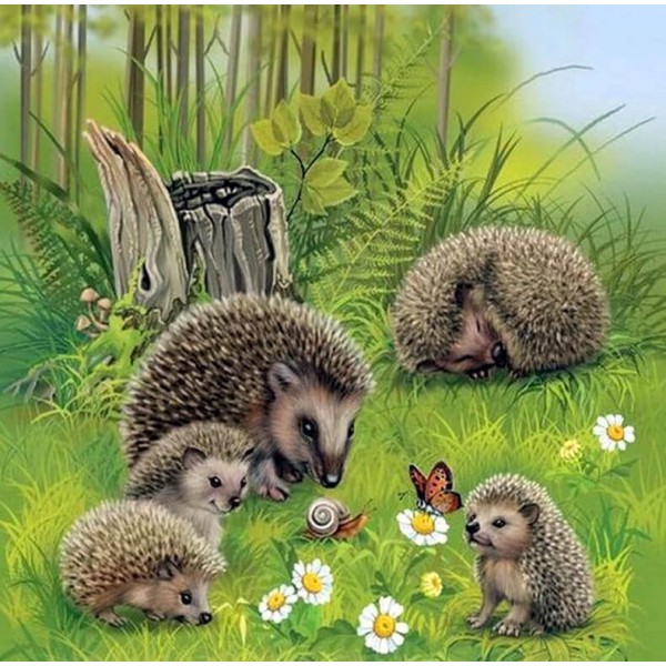 Animals Butterfly Family Of Hedgehogs Diamond Painting Kit