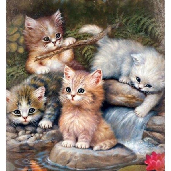 Animals Group Of Cats Diamond Painting