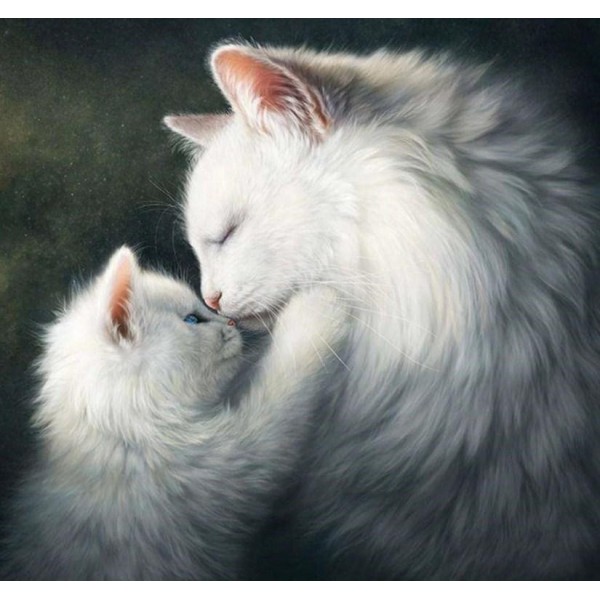 Animals Gorgeous White Cats – Diamond Art Kit