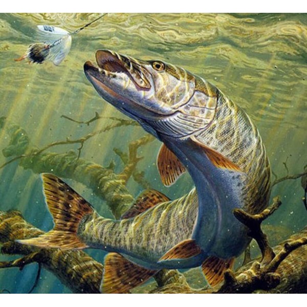 Animals Giant Fish Diamond Art Kit