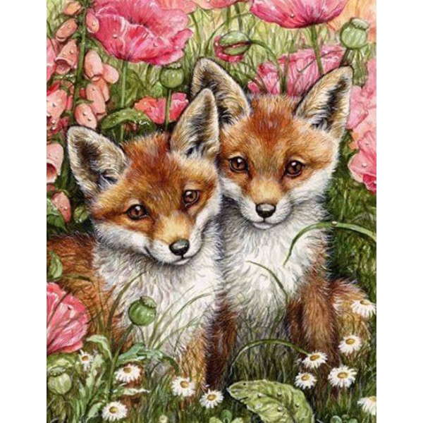 Animals Fox Pair Sitting In Flowers