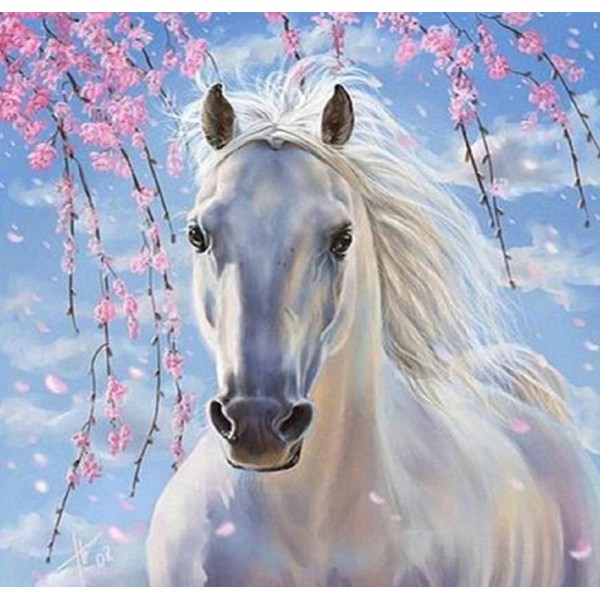 Animals Long Haired White Horse