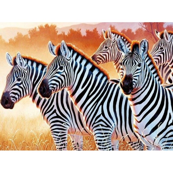 Animals Best Zebras Diamond Art Kit