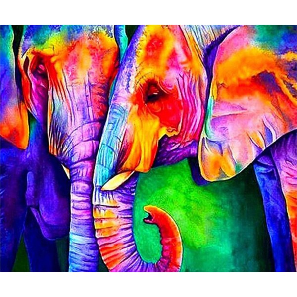 Animal Two Colorful Elephants Diamond Art