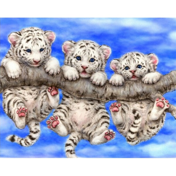 Animal Three Cute Little Tigers Diamond Art