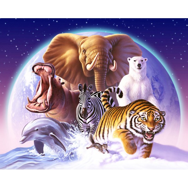 Animal Seven Animals Gather In The Moonlight Diamond Art