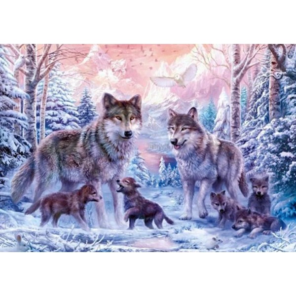 Animals Wolf Wolves Pack In Snow Winter