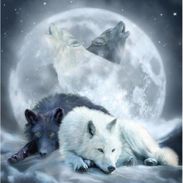 Animals Wolves Diamond Art
