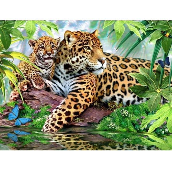 Animals Tiger Square Diamonds Wonderful Leopard