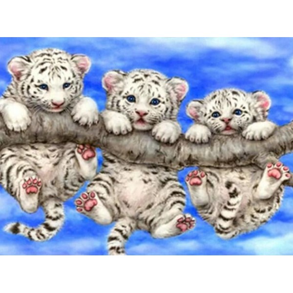 Animals Three Little Tiger Cubs
