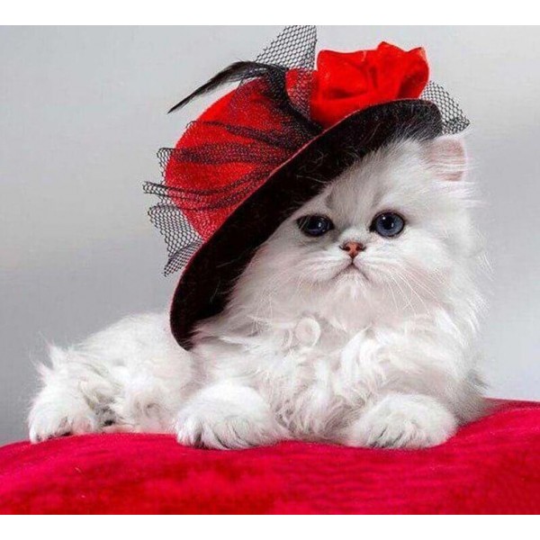 Animals Stylish Cat Diy Diamond Painting