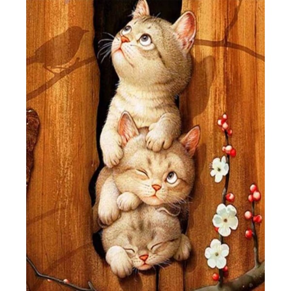 Animals Three Amazing Cats Diy Painting Kit