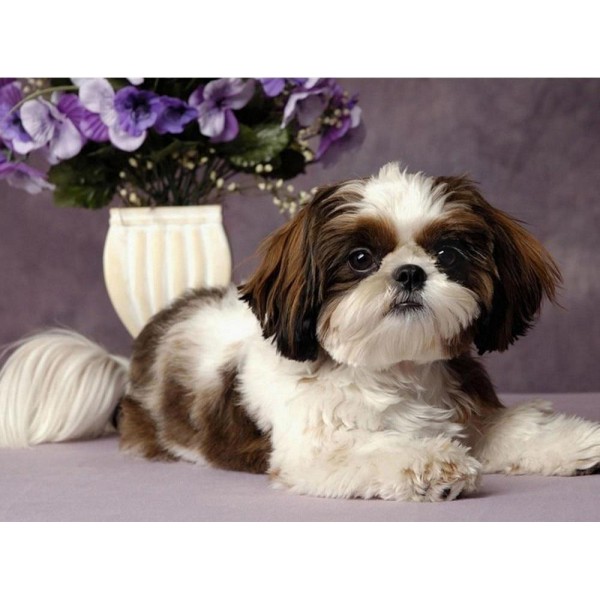 Animals Square Flowers & Dog Beautiful Big Puppy Diy Painting Kit