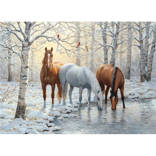 Best Animals Wint Beautiful Horses In Winter Sea & Rivers Usa Shipping