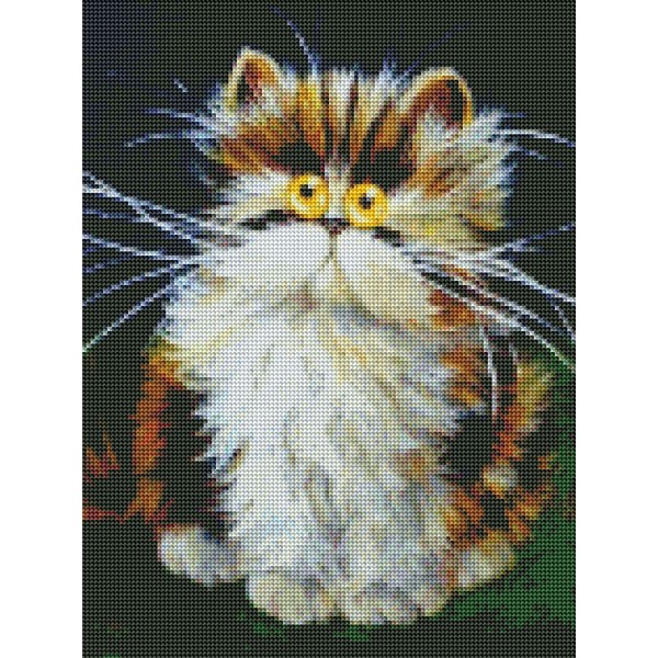 Animal Frightened Big Orange Cat Diamond Art