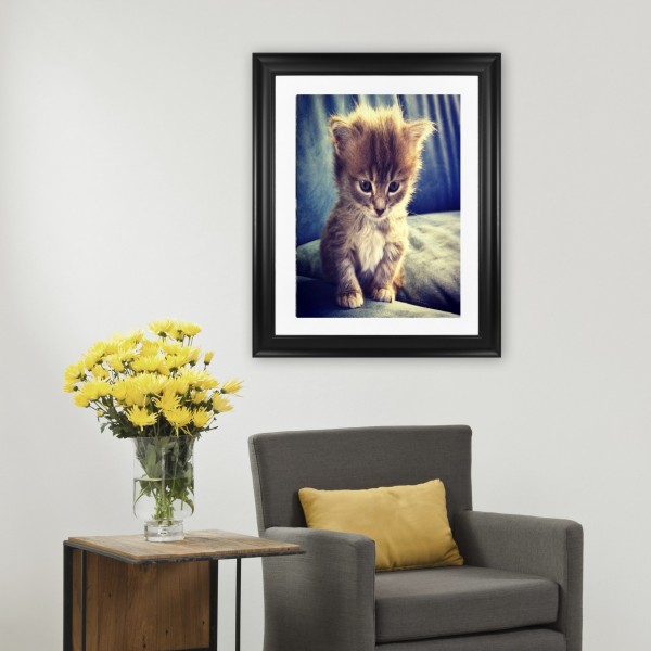 Animal Little Cat With Golden Light Diamond Art