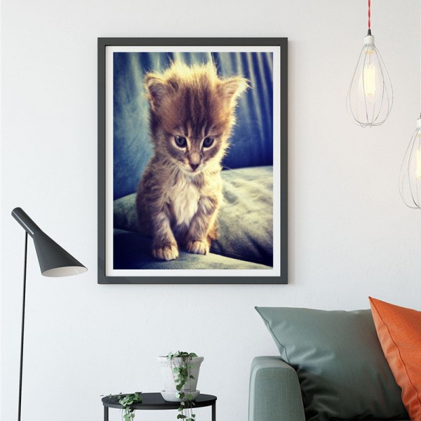 Animal Little Cat With Golden Light Diamond Art