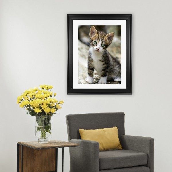 Animal Docile Green-eyed Kitten Diamond Art