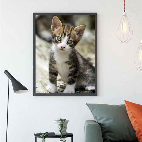 Animal Docile Green-eyed Kitten Diamond Art