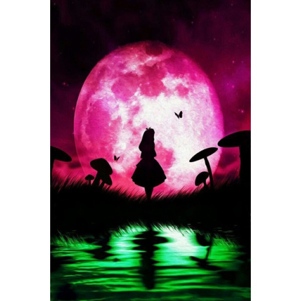 Variety The Girl Under The Pink Moonlight Diamond Art