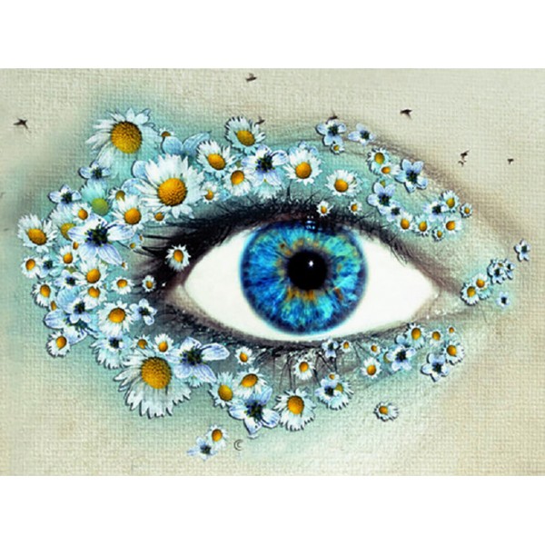 Scenes Light Blue Eyes Diamond Art