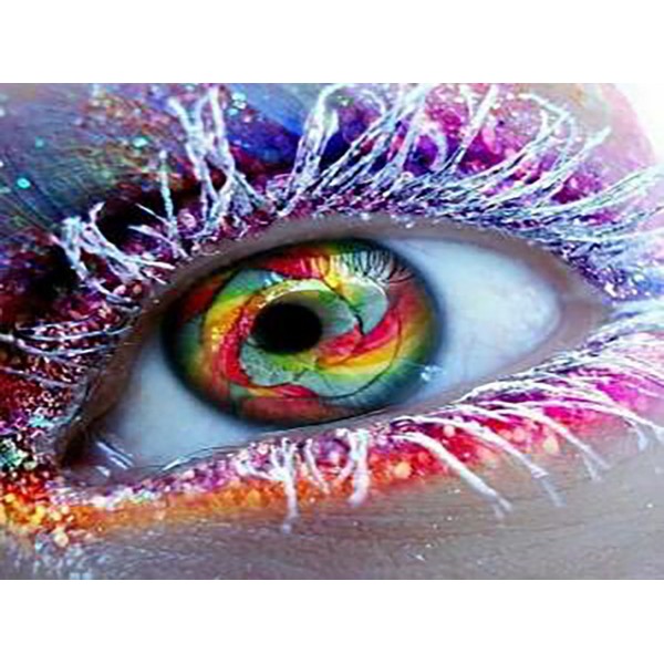 Scenes Colorful Eyes In The Snow Diamond Art