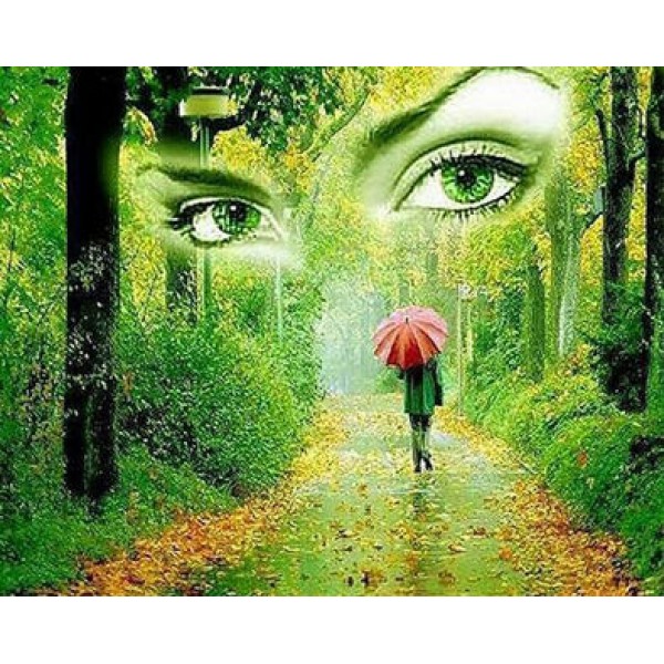 Scenes A Pair Of Eyes In The Forest Diamond Art