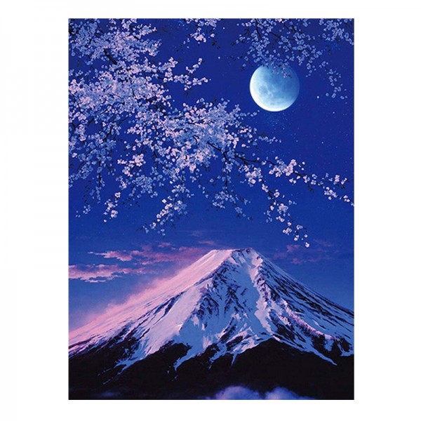 Scene Snow Mountain Plum Blossom Under Moon Night Diamond Art