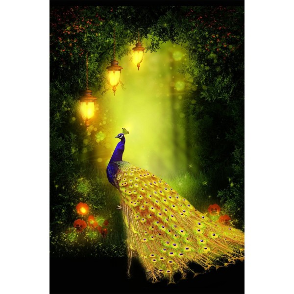 Forest Peacock Diamond Art Kit Birds
