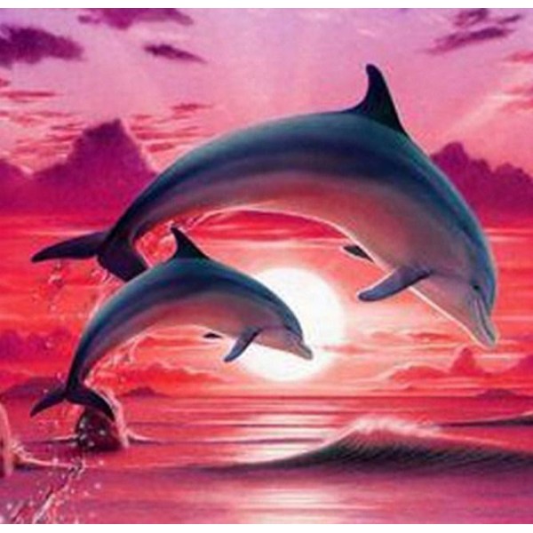 Fish Landscape Pair Of Dolphins Diamond Painting Kit Sea & Rivers