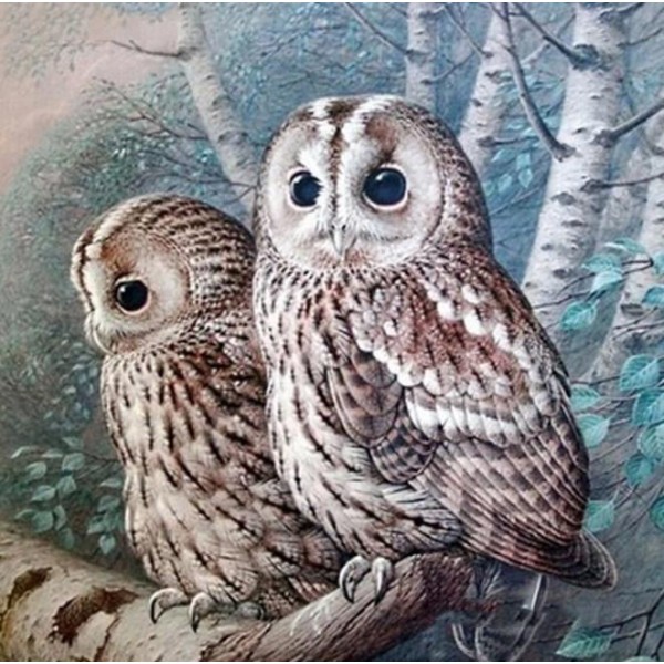 Birds Delightful Owl Couple Diamond Painting Kit
