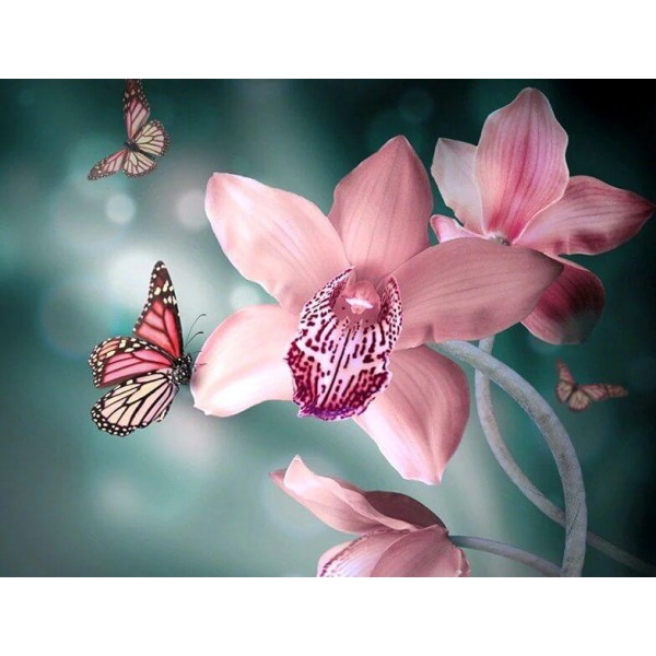 Best Flowers Butterflies & Orchids – Diamond Painting Kit