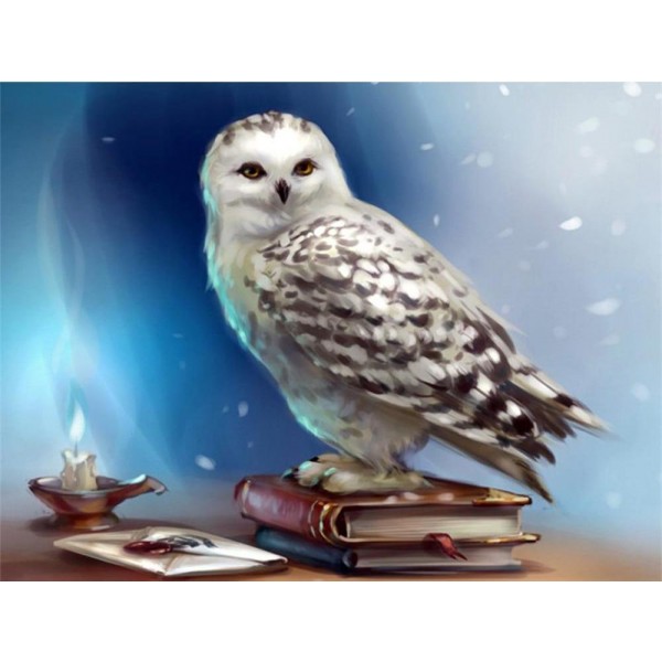 Best Birds Square Beautiful White Owl – Diamond Painting Kit