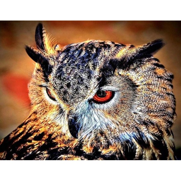Best Birds Owl Diamond Art Kit