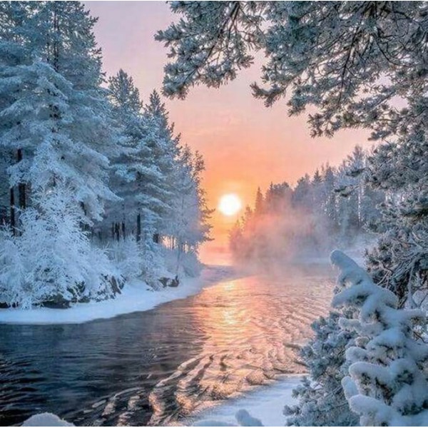 Winter Sea & Rivers Sunset Landscape Snowy Trees By The Lake