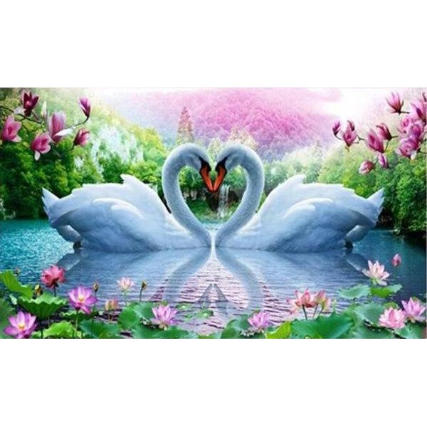 Sea & Rivers Birds Flowers White Swans – Symbol Of Love