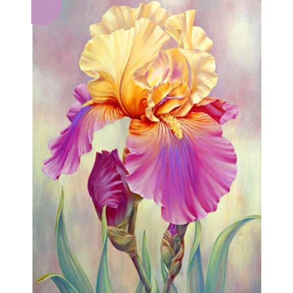 Phenomenal Iris Flower Painting Square Diamonds