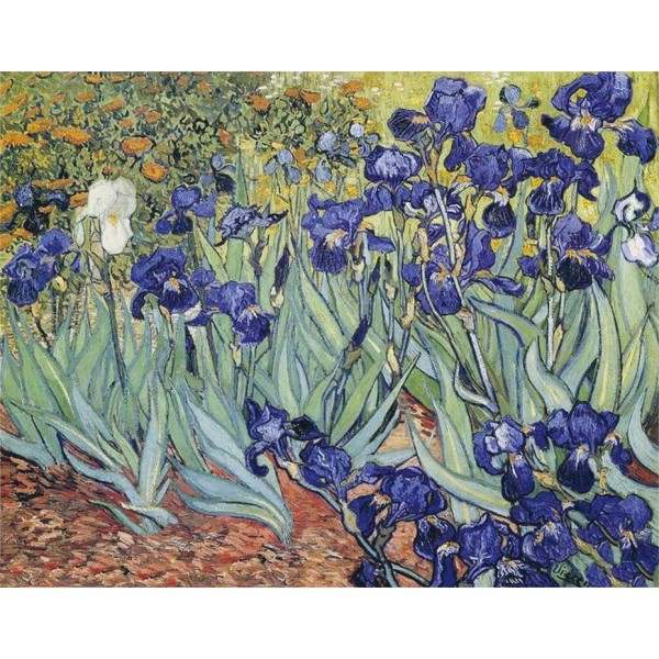 Flowers Van Gogh Irises Diamond Art Kit