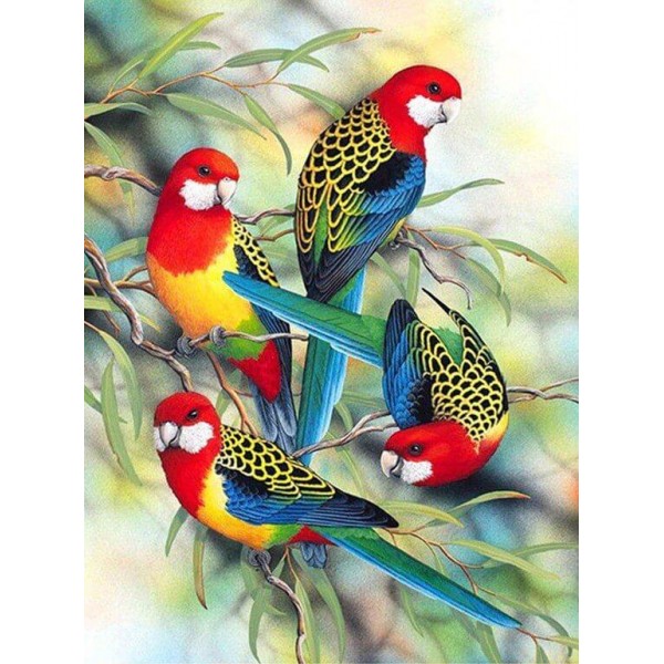 Birds Colorful Parrots On Trees Diamond Painting