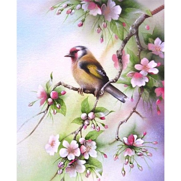 Best Square Beautiful Birds And Flowers Diamond Art Kits Sale