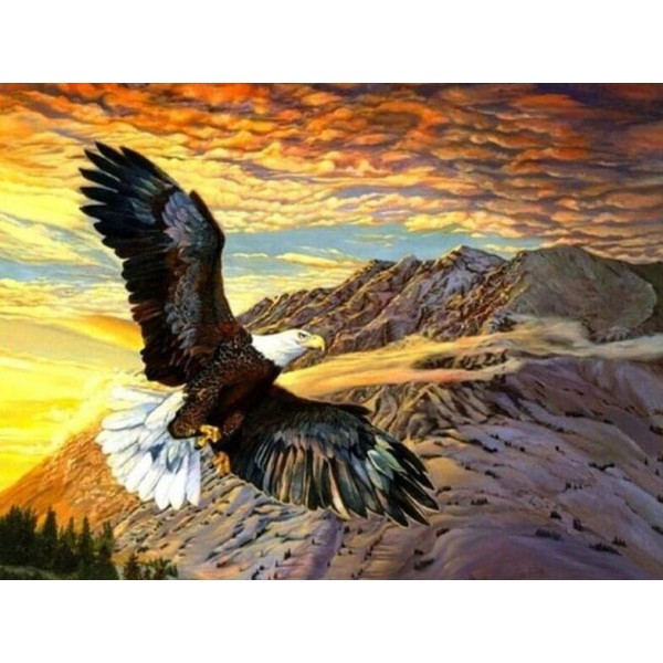 Birds Landscape Sunset Mountains & Eagle Painting Kit