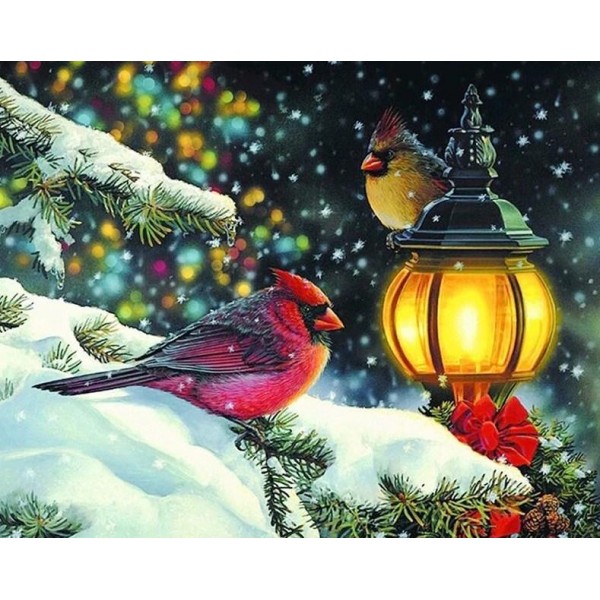 Winter Birds – Paint With Diamonds
