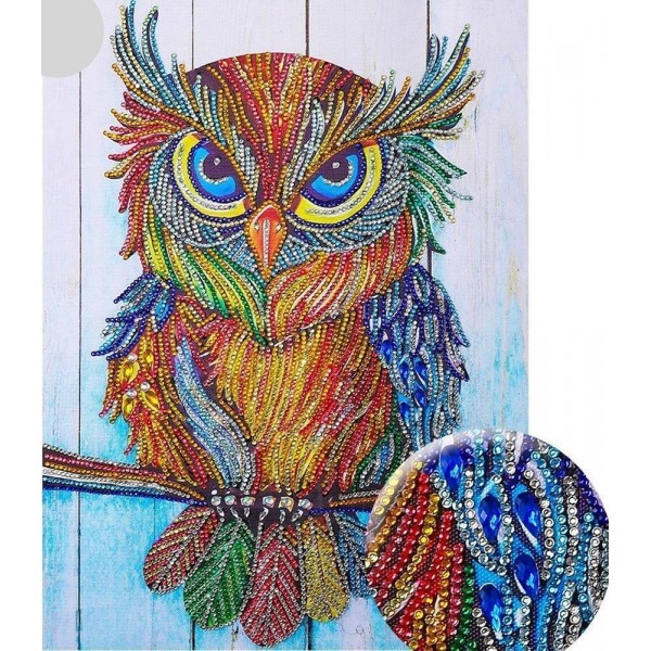 Special Diamonds Birds Big Colorful Staring Owl