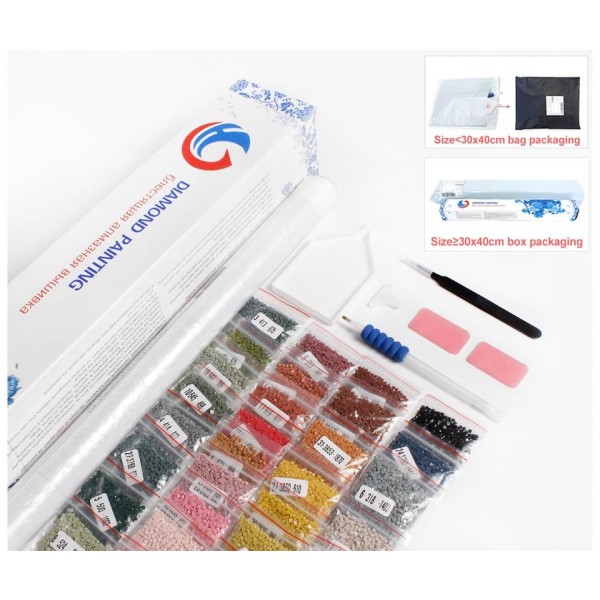 Flowers Butterflies 5 Piece Square Diamonds Paintings For Your Wall