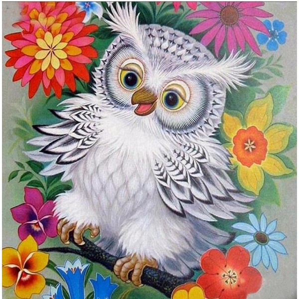 Birds White Owl In Colorful Flowers Square Diamonds