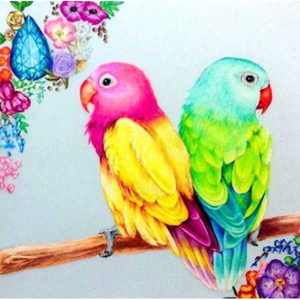 Birds Sweet Parrots Pair Diamond Painting Kit