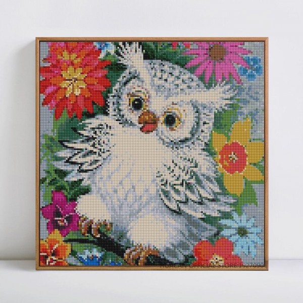 Birds White Owl In Colorful Flowers Square Diamonds