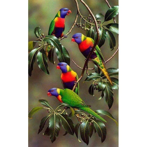 Birds Colorful Parrots On Branches Of Tree